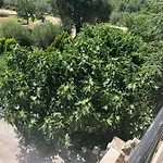 Stancieta Ulrihi * Marasi