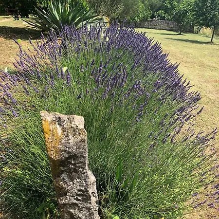 Vila Stancieta Ulrihi Marasi
